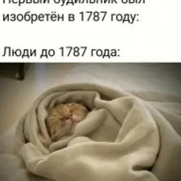 Vladoska1488