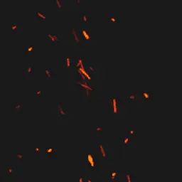 VOKSI_inactive2835767