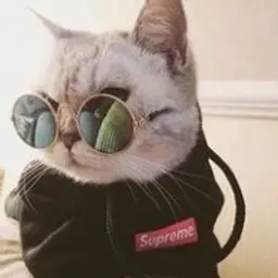 your_boss