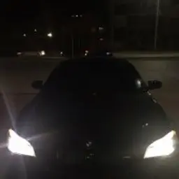 fuck_society3301