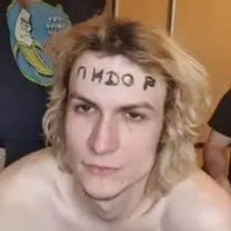 Morphv