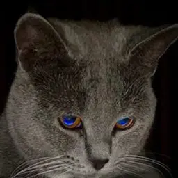 Вырезать