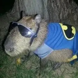 semagetto