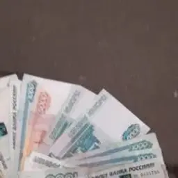 og_loc31