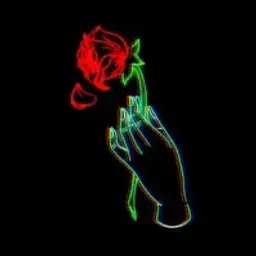 S0fterParadice