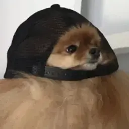 temasso