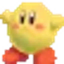 Sari