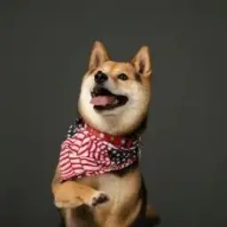 Mangak