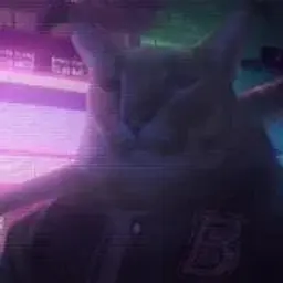 shoghxd