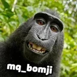mq_bomji