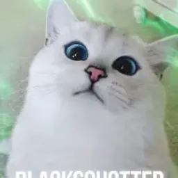 Blacksquatter