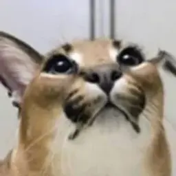 rerednikgg