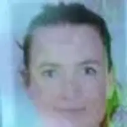 huizhuii