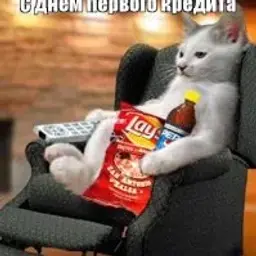 Arturka1