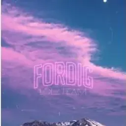 ForDig