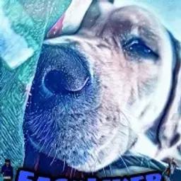 Timurka228882