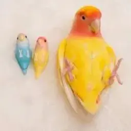 Guggh