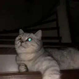 molod_molod001