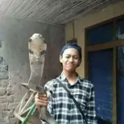 you_debill