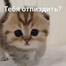 id560040609