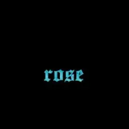 d3ss1ng3r