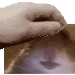 MEGICH