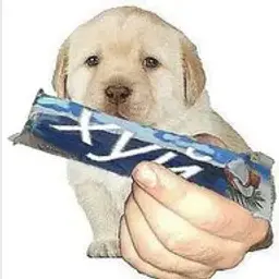 h____e____l