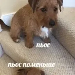 id341803559