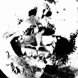 bodygaard