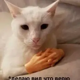 toksik16