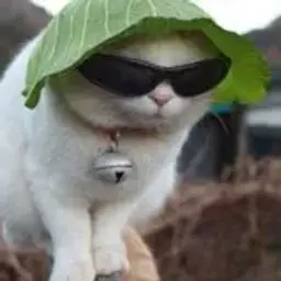 denmen0
