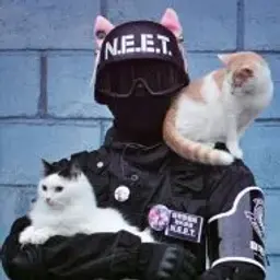 DangerBae