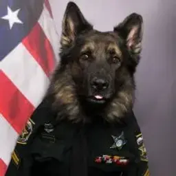 Police_Dog