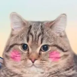 mokkymailo