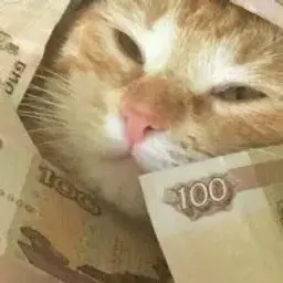 hiahiahia