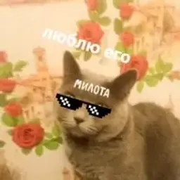 andrei_isakov