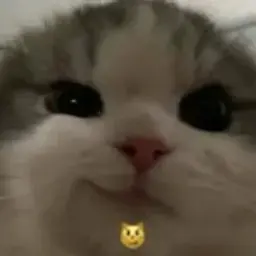 id616209374