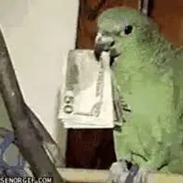 LilKrale