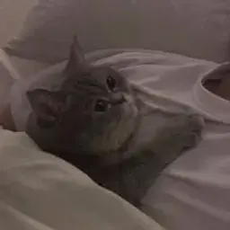 aby_59