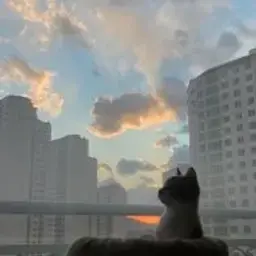 kosmo_kote_112