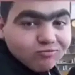 OlegFort