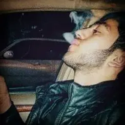 cat_inactive3809349