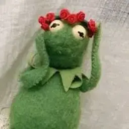 cooldaniil