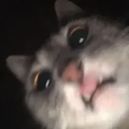 s1ntess