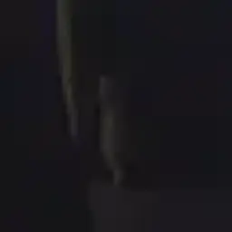 Fkfnhfhfjf