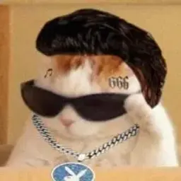 barsik223457