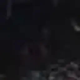 Donger4_4