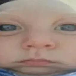not_gavnaed