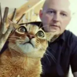 vveevv