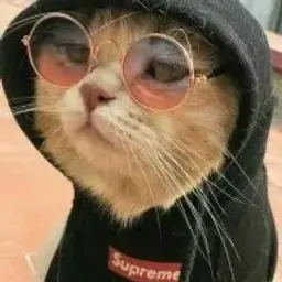 myr_Felix